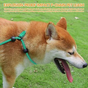 कस्टम 2 में 1 नायलॉन पालतू कुत्ते पट्टा पर्ची रस्सी लीड एडजस्टेबल लूप ट्रेनिंग स्लिप कुत्तों के लिए नरम हैंडल के साथ 170 सेमी लीड - Product Image 3