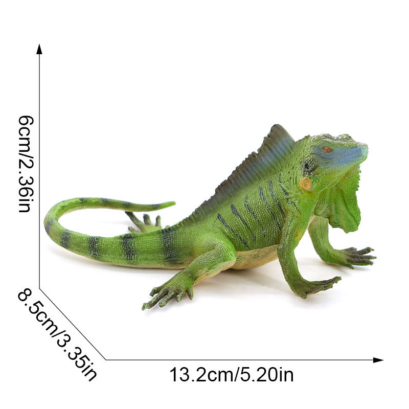 2958 iguana verde americana-492g