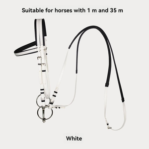 Ensemble complet de haute qualité fournitures équestres PVC Nylon rênes d'<span class=keywords><strong>eau</strong></span> bouche cheval mâcher haut Western circonférence licou pour la course - Product Image 3