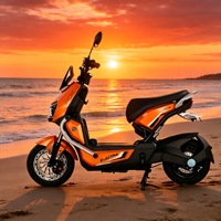 Vélo électrique (EBIKE) 48V 800W avec moteur à moyeu arrière, 3 vitesses, sans balais, cadre en acier, batterie lithium-ion tendance