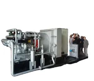 oil-free compression media compressor water or air cooled method special chemical industrial compressor220V110V380V440V105V120V2