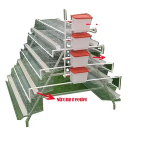 Hot Selling High Quality Galvanized Steel Automatic A Type Chicken Cage For Laying Hen Breeding