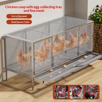 Poulailler respirant en fer pour l'intérieur et l'extérieur, grande cage de collecte d'œufs avec filet métallique