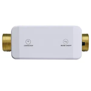 Smart 5G/2.4G water valve Ultrasonic detect water leak/pressure/temp Wifi BLE Water Shuoff Valve