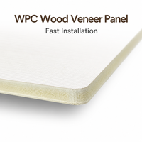 Panel WPC de Diseño Interior de Lujo Natural, Material Moderno para Revestimiento de Paredes, para Escaleras y Baños, Venta de Fábrica de Alta Calidad