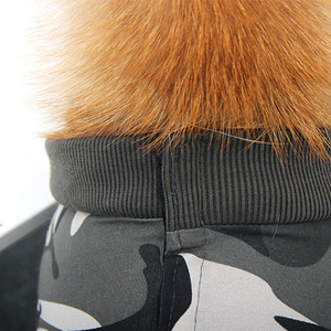 Recuperación Post Cirugía Perro Gato Traje Médico Mascota <span class=keywords><strong>Camisa</strong></span> Perro, Perro Post Cirugía Recuperación Traje Después De La Castración - Product Image 5