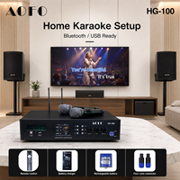 Système de microphone sans fil professionnel, double microphone cravate sans fil pour karaoké, performance scénique, système audio