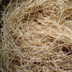 De alta calidad de coco con precio barato - Product Image 1