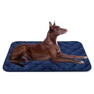 hot sale Washable Soft Velvet Crate Pad - Anti-slip Mattress for Small Medium Large Dog Bed Mat