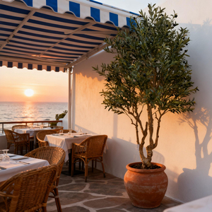 Arbre d'olivier artificiel de qualité supérieure avec tronc naturel et feuilles vertes, grand arbre réaliste avec <span class=keywords><strong>pot</strong></span> pour salon et jardin - Product Image 5