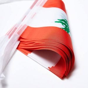 Outdoors Lebanon Flags <b>Small</b> Mini Pennant String Banner Festival Decorations 62.3 Feet 30 Flags Aluminum Flagpoles Polyester - Product Image 2