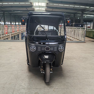 Mototaxi de Pasajeros, <span class=keywords><strong>Triciclo</strong></span> Motorizado de 250cc, Motor Refrigerado por Agua, 3 Ruedas, Carrocería Cerrada, Suspensión Independiente Delantera/Trasera, Refrigeración por Aceite - Product Image 2