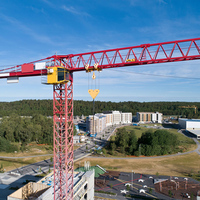 Grue à tour de construction de marque chinoise, installation facile, flèche de 55 m, capacité de 8 tonnes, pour travaux de construction immobilière