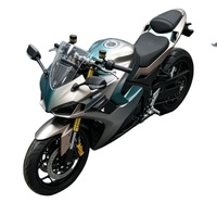 2026 Professional Grade Racing Motorcycle 3000W-5000W 60-120km/h Full Lighting System for Night Riding Safety MAYA MY-DUCASU