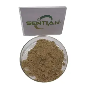 Panax American Ginseng Powder 10:1 Root Extract American Ginseng Extract