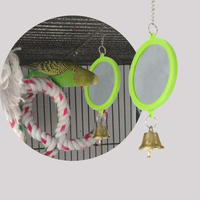 Jouet miroir pour oiseaux avec clochette, durable et interactif, vente en gros directe d'usine