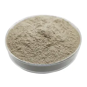 The Manufacturer Supplies Brown Sponge Bone Needle 80% Freshwater Sponge Extract Cosmetic Raw Material Sponge Microneedle Powder