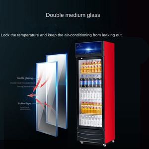 <span class=keywords><strong>Congélateur</strong></span> Commercial à Boissons et Bières à Affichage Numérique, Refroidissement par Air, Sans Givre, Vente Directe Usine, Prix Compétitifs, Couleurs Variées - Product Image 4