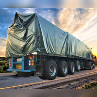 Kain tenda pvc tahan api tahan air 650GSM vinil pvc terpal laminasi dalam gulungan Atau lembar untuk penutup truk