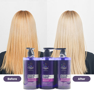 <span class=keywords><strong>แชมพู</strong></span>เปลี่ยนสีผมสีม่วง ป้องกันสีเหลือง สำหรับ<span class=keywords><strong>ผม</strong></span>บลอนด์ ราคาโรงงาน รับผลิตแบรนด์ส่วนตัว - Product Image 2