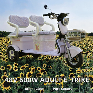 Tricycle à trois roues en acier pour adultes avec moteur à moyeu arrière et 3 vitesses pour personnes âgées - Product Image 1