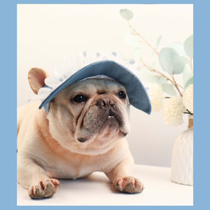 New Dog Cat Denim Fashion Cute Pet Bow Lace Washable Eco-Friendly <b>Hat</b> Summer Modern Outdoor Sunscreen Fisherman's <b>Hat</b> Wholesale - Product Image 4