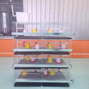 Petite cage à poulets bon marché Conception de système agricole de prévention de la rouille Couveuse de volaille à batterie Cage à poulets <span class=keywords><strong>Équipement</strong></span> agricole - Product Image 1