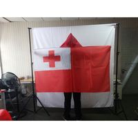 Châle drapeau national de la République arabe d'Égypte, cape de supporter personnalisée avec logo, taille 150x90cm