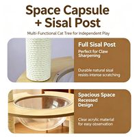 En gros Griffoir pour chat avec lit capsule spatiale en matériau mercerisé, auto-absorbant, amovible, lavable, peu encombrant, jouet pour chat