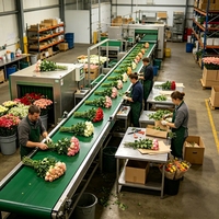 Convoyeur à bande plat modulaire industriel pour ligne de production de traitement des fleurs, compatible avec la découpe et le regroupement