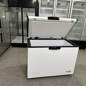 A bassa temperatura grande capacità orizzontale congelatore di varie dimensioni per uso domestico e commerciale congelatore frigorifero - Product Image 3