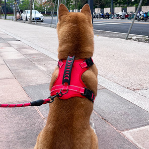 Arnés para perros estilo chaleco, correa ajustable para el pecho de tamaño mediano para perros medianos - Product Image 4