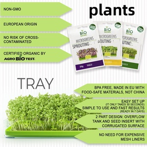 Kit di Microgreens organici Premium in stile Country Design compatto sano giardino di casa - Product Image 4