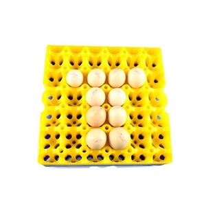 علبة قفص البيض بطبقة بلاستيكية بوهيمية سعة 5*30 بيضة أدوات نقل دوارة معدات الدواجن ديكور منزلي - Product Image 1