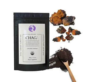 Private Label Suplemento Herbal 30% Beta-glucano Chaga Cogumelo Extrato Em Pó Chaga Cogumelo Em Pó