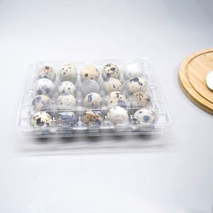 Shengyiyuan bán chạy nhất 18/20/24/30 di động nhựa PET Trứng chim cút khay để bán - Product Image 2