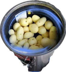 Automatic Stainless Steel <b>Potato</b> & Cassava <b>Peeler</b> Commercial Water-Flow Sweet <b>Potato</b> Taro Cleaning Washing <b>Machine</b> - Product Image 6