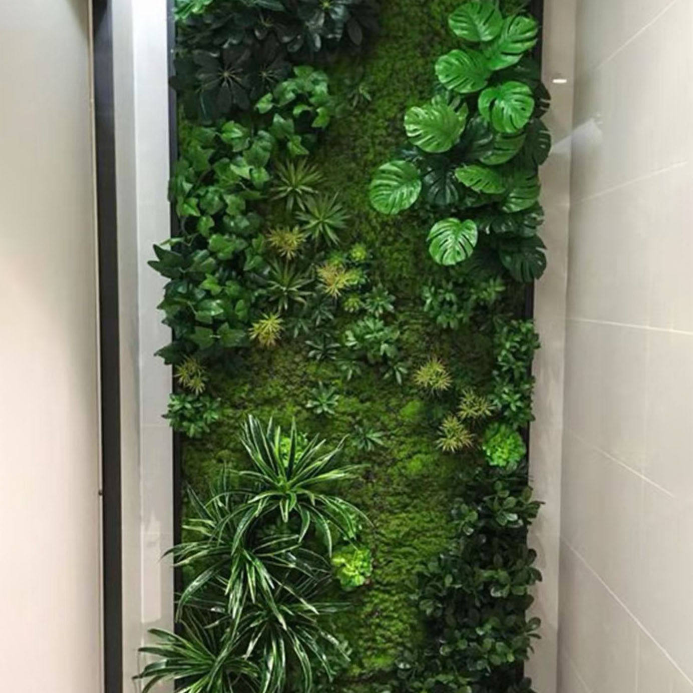 น้ำใสและภูเขาเขียวชอุ่ม