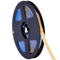 Lumières néon COB OEM 16 pieds/5 m IP67 pour usage hôtelier 280 LED/m DC24V 7W/M Haute luminosité Certifiées CE/ETL