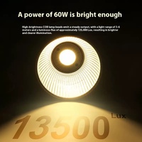 Lámpara LED Fotográfica Portátil Bicolor de 60w para Estudio Fotográfico y Video, Luz Regulable para Grabación, Transmisión en Vivo y Luz de Relleno