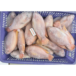<span class=keywords><strong>Poisson</strong></span> Tilapia Rouge Congelé <span class=keywords><strong>de</strong></span> Qualité Supérieure, Tilapia <span class=keywords><strong>d</strong></span>'<span class=keywords><strong>Eau</strong></span> <span class=keywords><strong>Douce</strong></span> Fraîche Congelée - Product Image 5