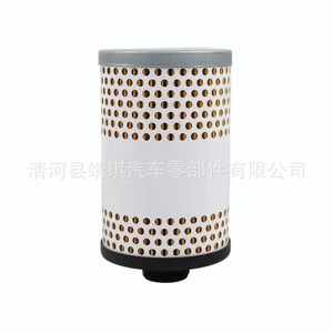 Filtro de Combustible P550674 P550463 R2714P F 5502 FF246 Diésel para Reemplazo o Reparación con Junta Tórica - Product Image 3