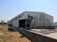 Ferme préfabriquée à structure en acier Hangar à volailles préfabriqué pour poulets de chair avec équipement de cage automatique