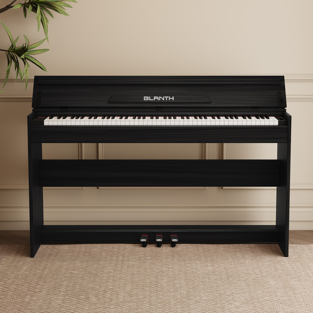 Electric Piano Keyboard Digital Piano Keyboard Electronic 88 Key Weighted Digital Piano Professionnel
