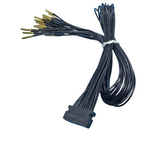 カスタマイズされた2*10ピン二列ホーン端子ワイヤーPVCカスタム長さ産業用制御機器の加工 - Product Image 2