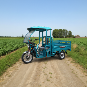 Triciclo Eléctrico con Techo, Motocicletas Eléctricas de 3 Ruedas, Triciclos de Carga, Triciclo Eléctrico, Popular en <span class=keywords><strong>Europa</strong></span> con Certificación EEC - Product Image 6