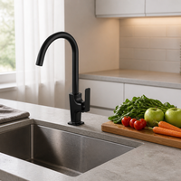 Robinet de cuisine minimaliste noir mat, design moderne, mitigeur eau chaude et froide, poignée unique, arc haut, montage sur plan, OEM ODM