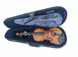 Miaosenguang Beginner Viool Model Vl3 Matte Afwerking Groothandelsprijs Massief Sparren Top/Zijkanten Houten Ebbenhouten Toets - Product Image 5