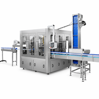 Ligne de production d'eau pure en bouteilles de 20 L avec machine de désinfection, rinçage, remplissage et scellage automatiques à 300 BPH pour usine de boissons
