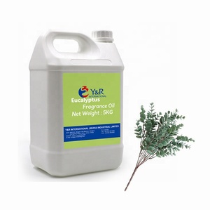 Langanhaltende Lampe <span class=keywords><strong>Berger</strong></span> Ätherische Öle 1000ml Eukalyptus <span class=keywords><strong>Duft</strong></span>öl für Kerzen - Product Image 1